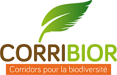 CORRIBIOR : des corridors pour la biodiversité, clap de fin !