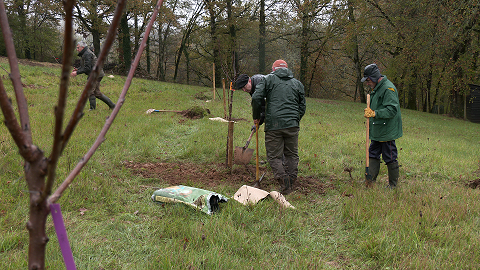 Ilot de Biodiversité : un chantier participatif sur la commune des Arques