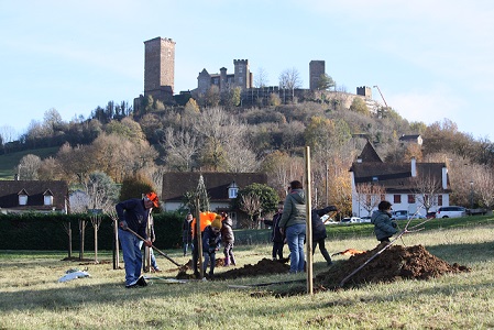 Ilot de Biodiversité : un chantier participatif sur la commune de Saint-Laurent-les-Tours