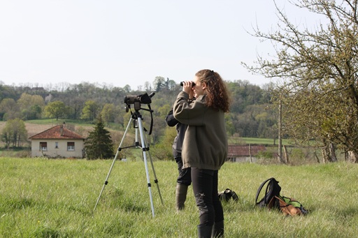 Trame Verte 46 - suivons la biodiversité !
