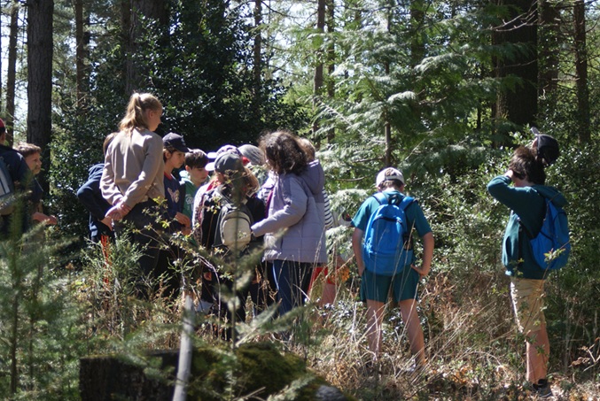 Sousceyrac, la forêt fait école
