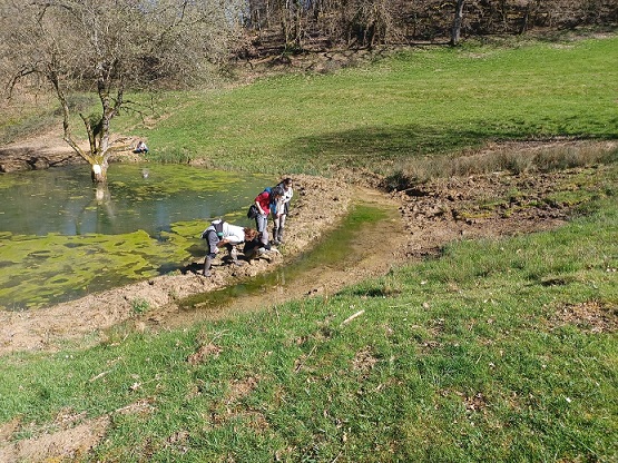 Trame Bleue 46 - restauration de mares dans le Lot 