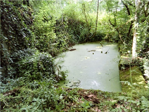 Trame Bleue 46 - La mare du Mas d’Orliac : une richesse patrimoniale