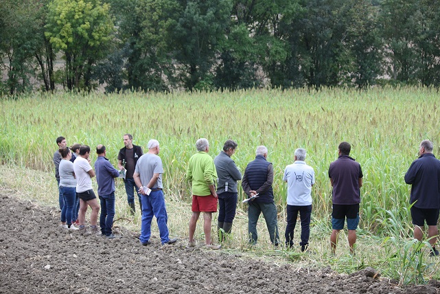 Trame Verte 46 : Le couvert d’interculture « multi-saison », une action innovante.