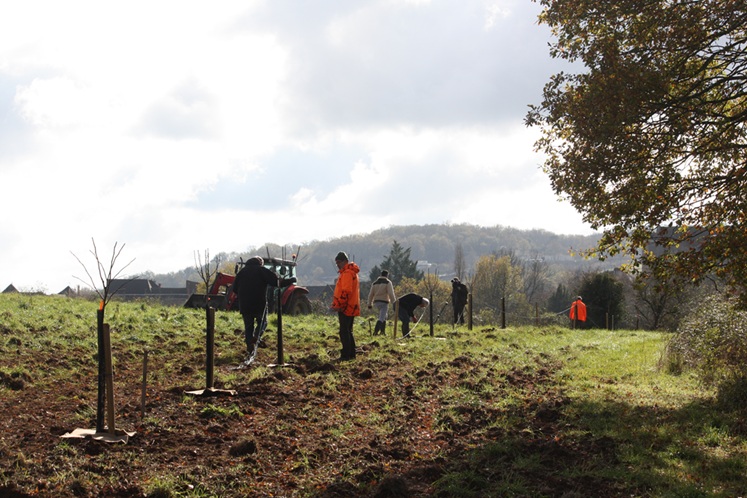 Ilot de Biodiversité : un chantier participatif sur la commune de Martel