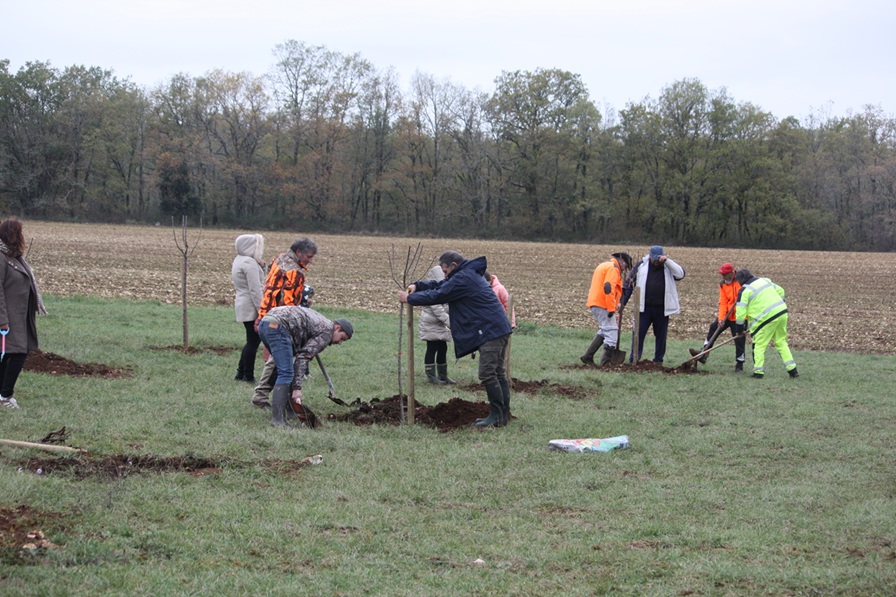 Ilot de Biodiversité : un chantier participatif sur la commune de Porte-du-Quercy
