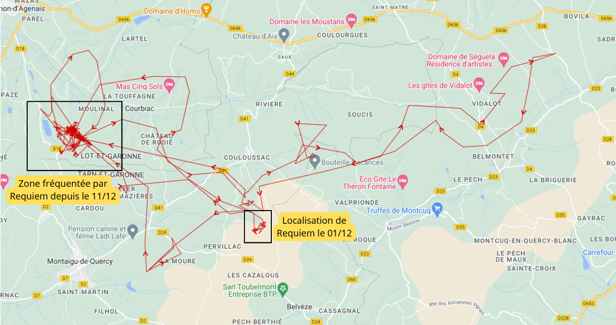 Les dernières aventures de Sergio et Requiem 