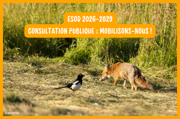 Mobilisons-nous pour le classement des ESOD !