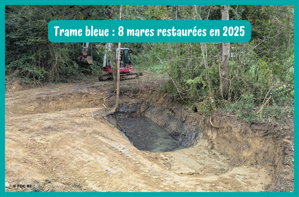 Huit mares restaurées dans le cadre du projet Habitat TVB en 2025