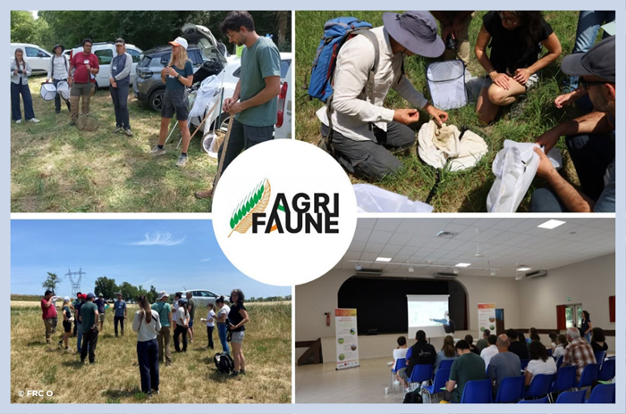 Agrifaune – Une journée d’échanges pour concilier agriculture et biodiversité en Occitanie !