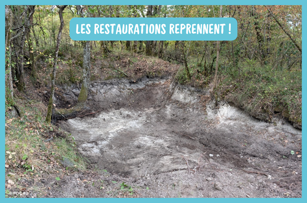 Trame Bleue : les restaurations reprennent !