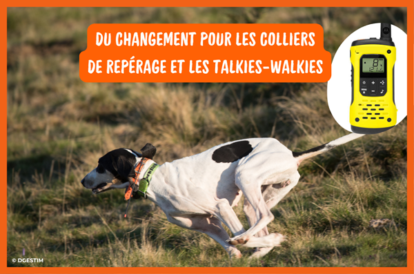 Du changement pour les colliers de repérage et les talkies-walkies.