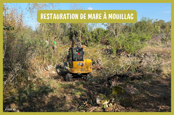 Restauration de mare à Mouillac : un bénéfice pour la faune et les promeneurs de la commune !