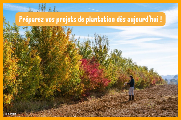 Arbres et haies champêtres : préparez vos projets de plantation dès aujourd'hui !