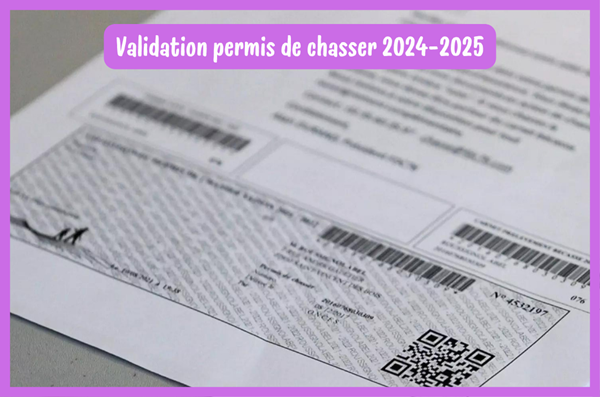 Validation du permis de chasser 2024-2025