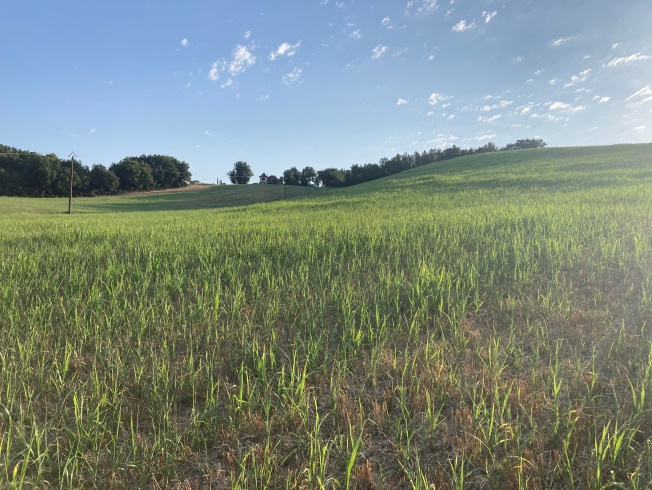 Agrifaune : Une alliance pour la préservation de la faune et de la biodiversité agricole