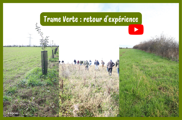 Au coeur d'une exploitation engagée : retour d'expérience en vidéo 