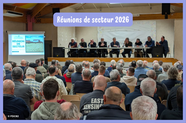 Réunions de secteur : des échanges riches et constructifs