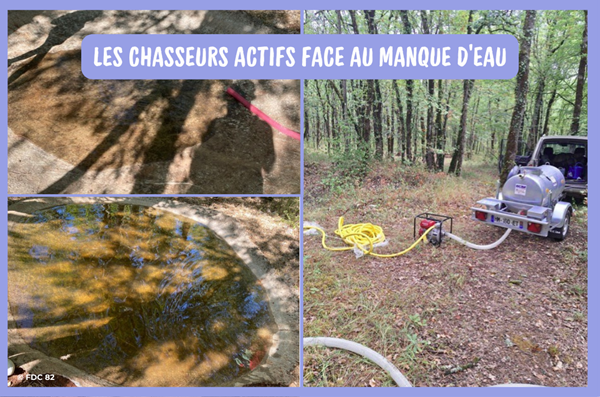 Les chasseurs actifs face au manque d’eau