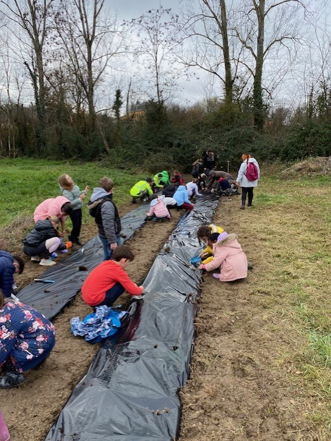 Le projet Sensibilis'haie booste la biodiversité à Garganvillar