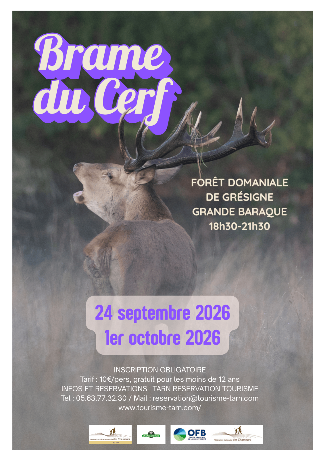 Brame du Cerf en Forêt de Grésigne