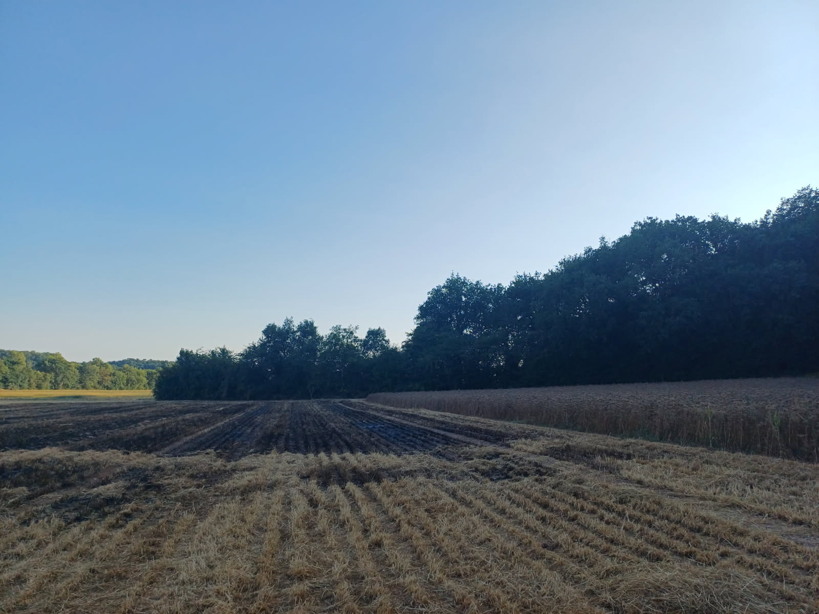 Quand un aménagement des chasseurs joue un rôle inattendu de coupe-feu