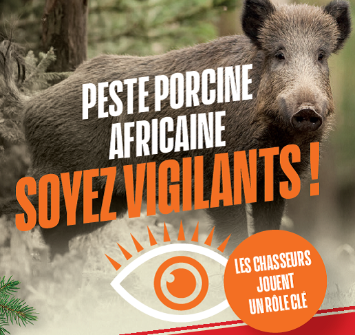 Biosécurité : Peste Porcine Africaine